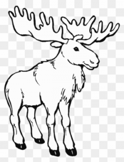 Moose Clipart caribou 3 - 300 X 391 Free Clip Art stock ...