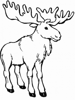 Moose Pictures To Color | Animal Coloring Pages | Kids ...
