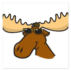 cool moose | Moose | Moose cartoon, Moose pictures, Funny moose