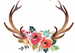 Deer Antler Flower Moose Clip art - Hand painted antlers 1145*808 ...