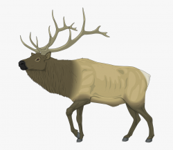 Horns Clipart Moose Antler - Elk Clip Art #176025 - Free ...