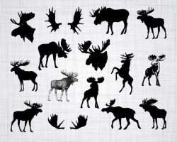 Moose SVG Bundle, Moose SVG, Moose Clipart, Moose Cut Files ...
