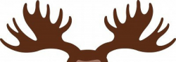 Moose Deer Antler Elk , Antler transparent background PNG ...