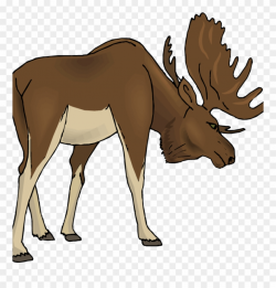 Free Moose Clipart Clipart Money Illustrations 10 Free ...