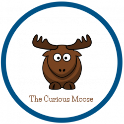 The Curious Moose - Kids Wooden toys, Ride On Toys and Active Toys