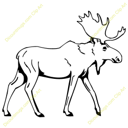 70+ Moose Clip Art | ClipartLook