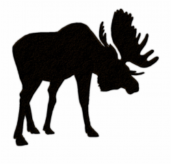 Moose Family Silhouette - Moose Silhouette Transparent ...