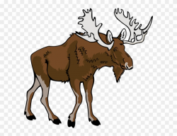 Moose Clip Art - Moose Clipart Png Transparent Png (#5632 ...