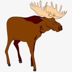 Detailed Moose Vector , Transparent Cartoon, Free Cliparts ...