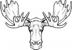 Pin by Krys Archabald on DRAWINGS PATTERNS | Moose tattoo ...