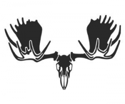 moose skull drawing - Google Search | Survivor Ideas | Moose ...