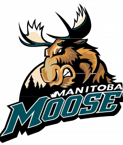 Manitoba Moose Logo PNG Transparent & SVG Vector - Freebie Supply