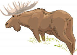 Free Moose Clipart Group (55+)
