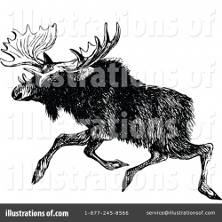 Moose Clipart #1113704 - Illustration by Prawny Vintage