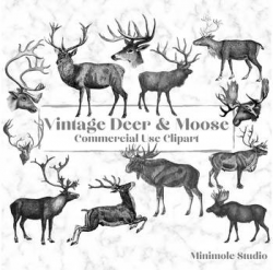 Vintage Deer Clipart, Reindeer, Moose, Stag Digital Illustrations Bundle