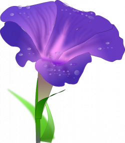Morning Glory Flower Clip Art at Clker.com - vector clip art online ...