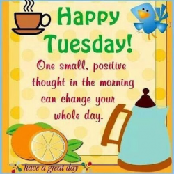 Happy Tuesday, One Small, Positive Thought In The Morning ...