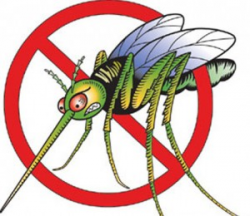 Mosquito Clip Art Images | Clipart Panda - Free Clipart Images