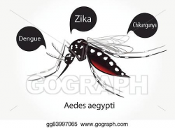 Vector Stock - Aedes mosquito. Clipart Illustration ...