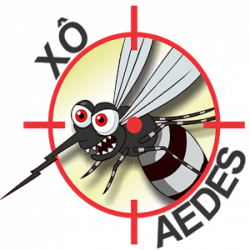 Importante! O que você precisa saber sobre o mosquito Aedes aegypti