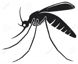 Mosquito clipart black and white 6 » Clipart Station