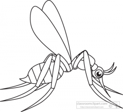 Search results for mosquito pictures graphics clipart ...
