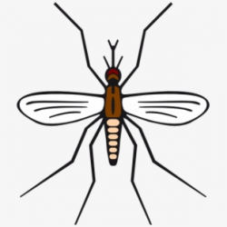 Mosquito In Brown Color Svg Clip Arts 516 X 596 Px ...