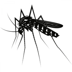 Mosquito clipart, cliparts of Mosquito free download (wmf ...