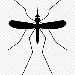 Mosquito Insect png download - 1200*1200 - Free Transparent ...