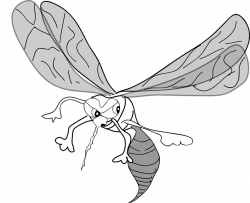 Big Mosquito Cliparts#4305181 - Shop of Clipart Library