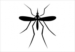 Mosquito clipart mosquito clipart fans 7 - ClipartPost