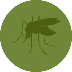 Mosquito Control | Atlanta | Breda Pest Management | Breda Pest ...