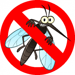 Construction and Mosquitoes - Health