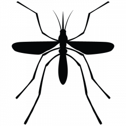 Effective Mosquito Treatment Plans to Remove Mosquitos from Your Home