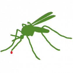 Mosquito control Insect Pest Citronella oil - mosquito 1024*1024 ...