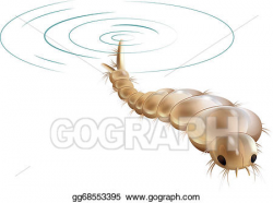 Clip Art Vector - Mosquito larva. Stock EPS gg68553395 - GoGraph