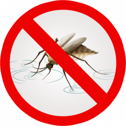 PRP Mosquito Nets Pudukottai 9843368361 | Mosquito Nets in ...