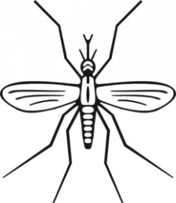 Mosquito Clip Art at Clker.com - vector clip art online ...