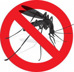 Cayman Islands Removed from Zika Travel Advisory List | Cayman Life ...