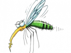 19 Mosquito clipart HUGE FREEBIE! Download for PowerPoint ...