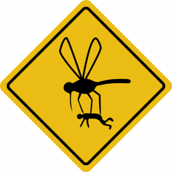 Mosquito Clipart - Cliparts.co