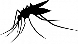 Mosquito Svg Png Icon Free Download (#562335) - OnlineWebFonts.COM