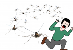 Clipart swarm mosquito PNG and cliparts for Free Download ...