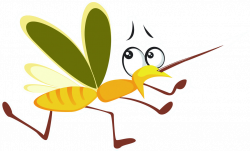 Bloodsucking Mosquitoes Cartoon - Mosquito 1024*620 transprent Png ...