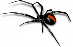 Clipart - Redback spider