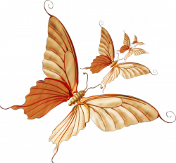Monarch butterfly Clip art - Autumn painted butterfly pattern 600 ...