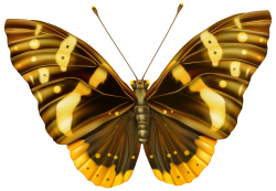 Brown and Yellow Butterfly Clipart PNG Image | Gallery Yopriceville ...