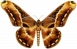 Beautiful Brown Butterfly PNG Clipart Image | Gallery Yopriceville ...