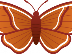 19 Moth clipart HUGE FREEBIE! Download for PowerPoint presentations ...