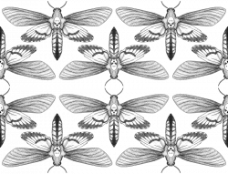 Death's Head Moth wallpaper - the9mm - Spoonflower